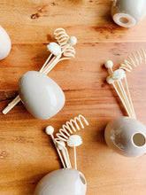Load image into Gallery viewer, Reed Diffuser